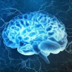 Cérebro se reprograma com a Neuroplasticidade