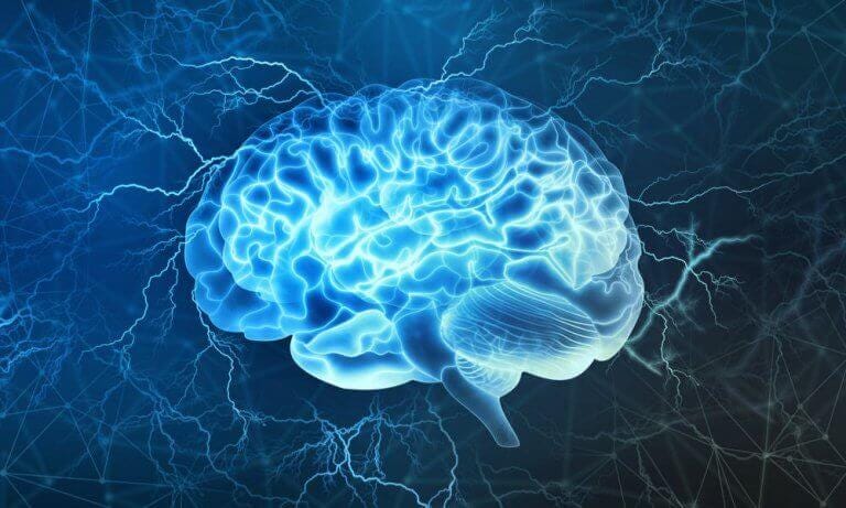 Cérebro se reprograma com a Neuroplasticidade